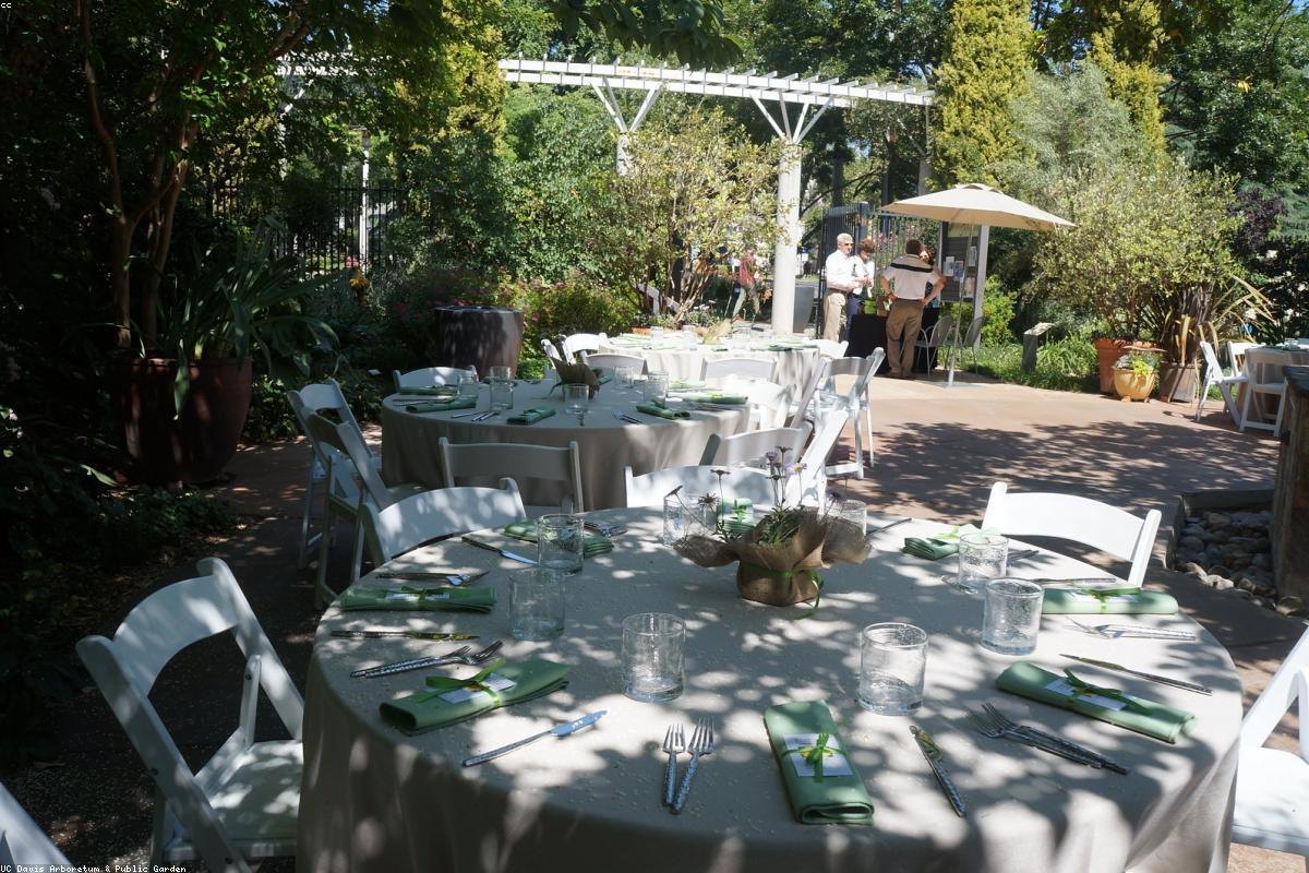 Terras en oprit in natuursteen
